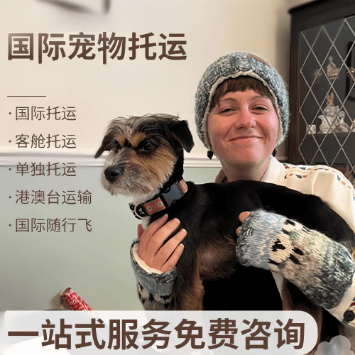丹东市国际宠物托运到阿根廷宠物入境规定和要