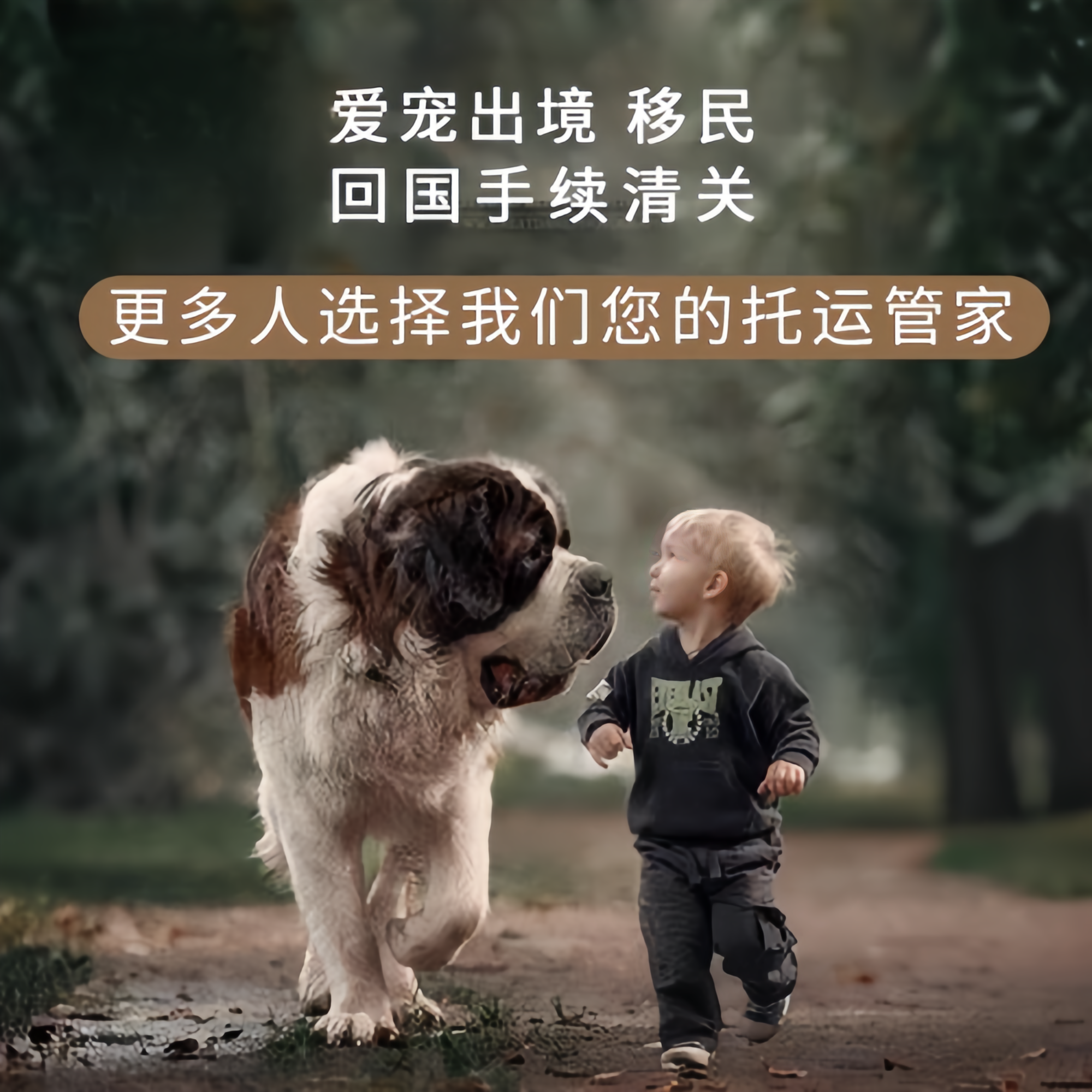 满财丹东市宠物全球达宠物托运在遵守入境目的地政策的条件