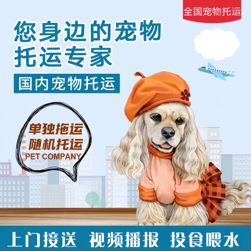满财丹东市宠物全球达宠物托运作为专业的宠物运输代理机构